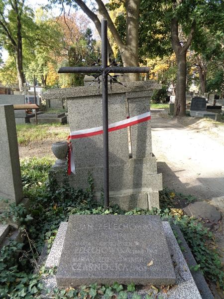 Zdjęcie grobu Maria Czarnocka (2)