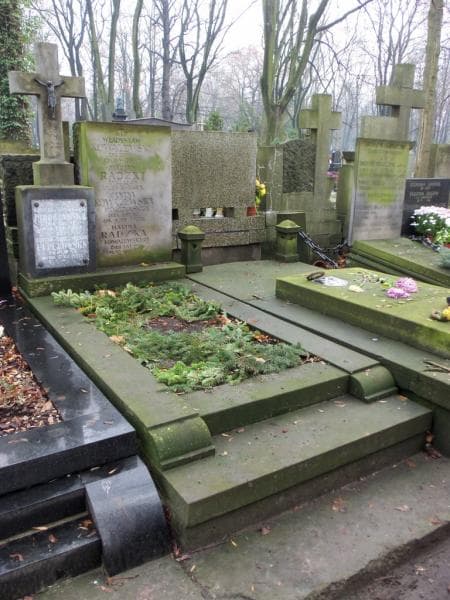 Zdjęcie grobu Henryka Leperowska (1)