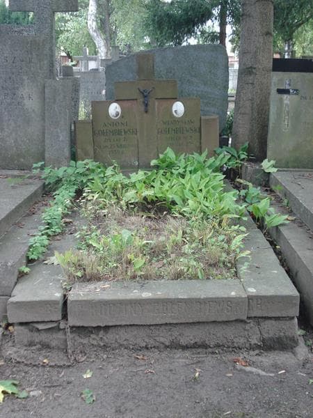Zdjęcie grobu: Antoni Gołembiewski