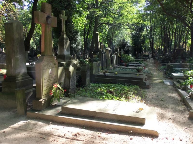 Zdjęcie grobu Aleksandra Baczyżmalska (1)