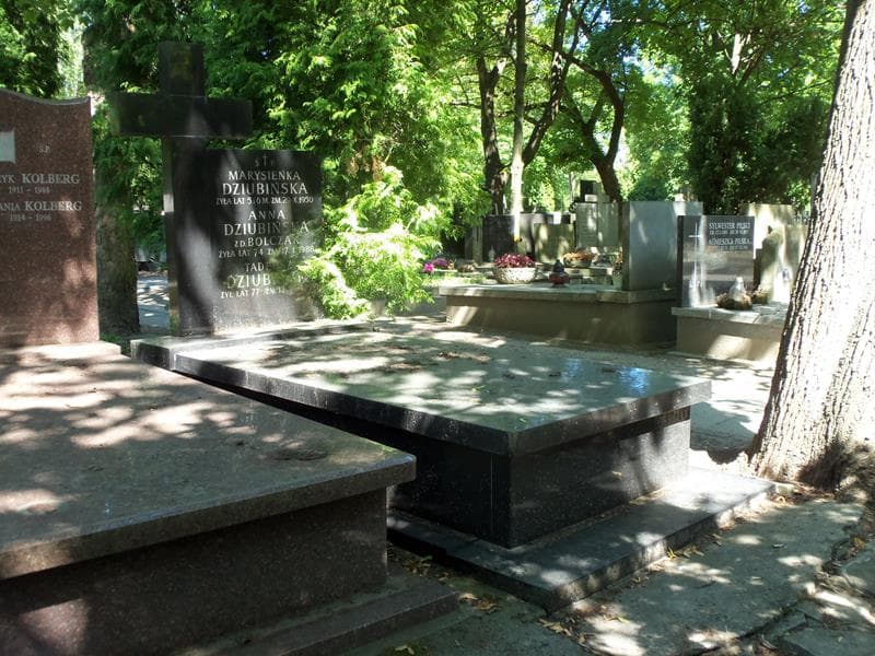 Zdjęcie grobu Tadeusz Dziubiński (1)