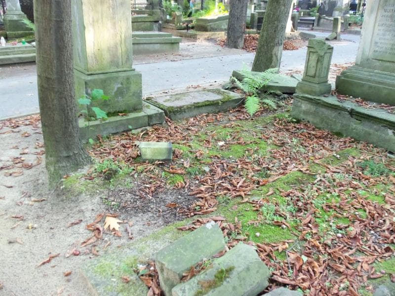 Zdjęcie grobu Witosław Janczewski (1)
