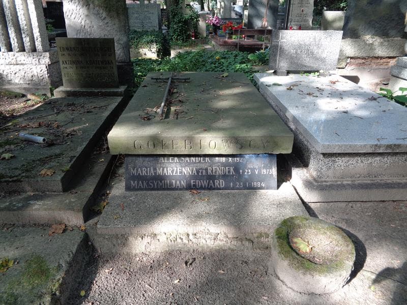 Zdjęcie grobu: Aleksander Gołębiowski
