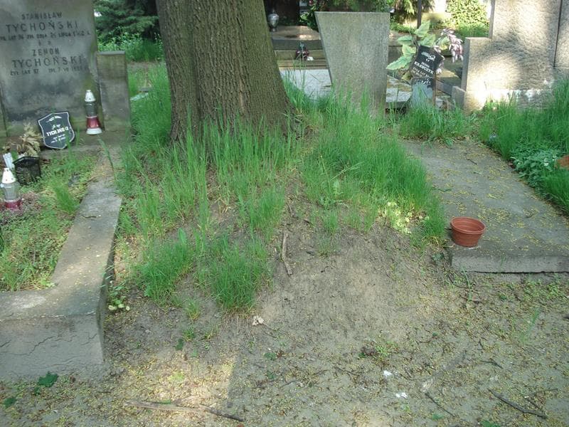 Zdjęcie grobu: Pole Grobowe