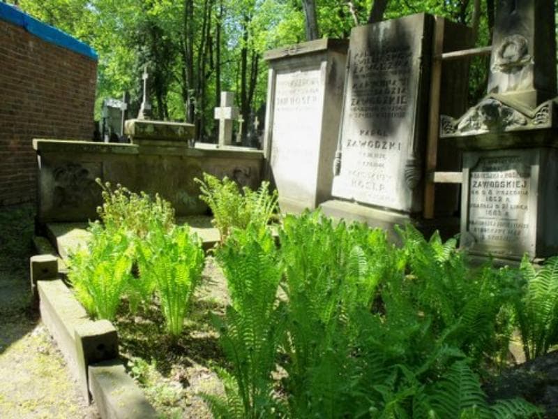 Zdjęcie grobu Konstanty Hoser (1)