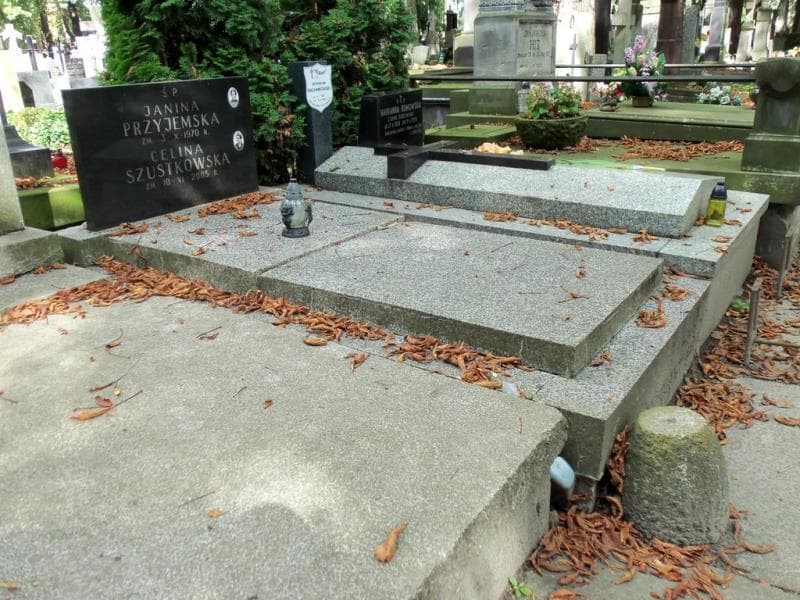 Zdjęcie grobu Janina Przyjemska (1)