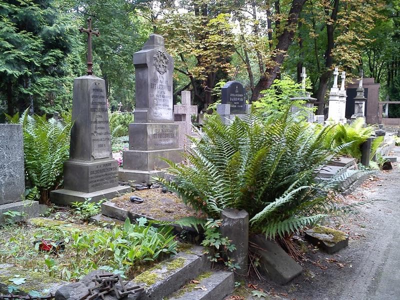 Zdjęcie grobu Jakób Goźdz-Roszkowski (1)