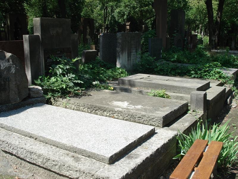Zdjęcie grobu: Maria Terlecka