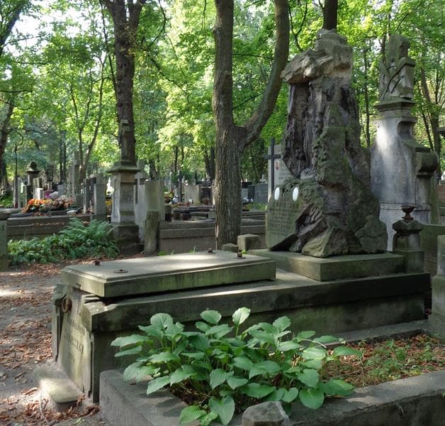 Zdjęcie grobu: Natalja Dażowa