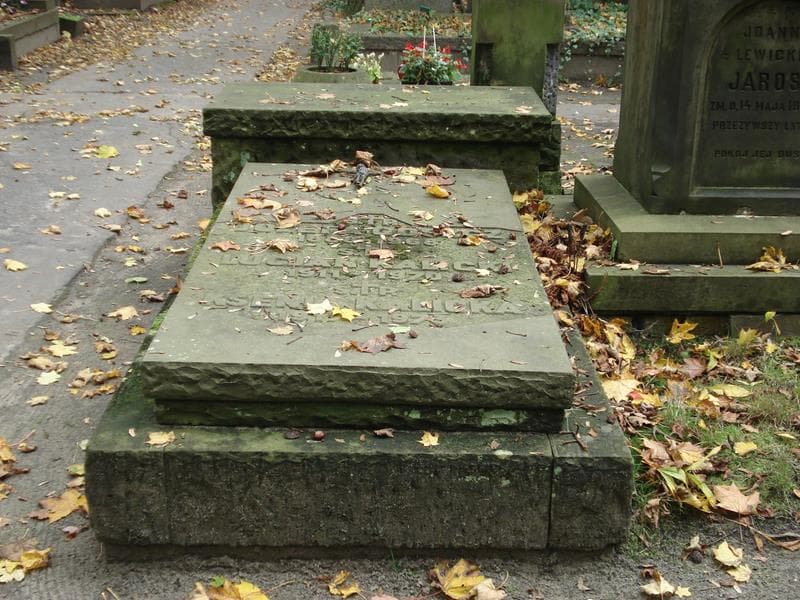 Zdjęcie grobu: Józefa Goszcz