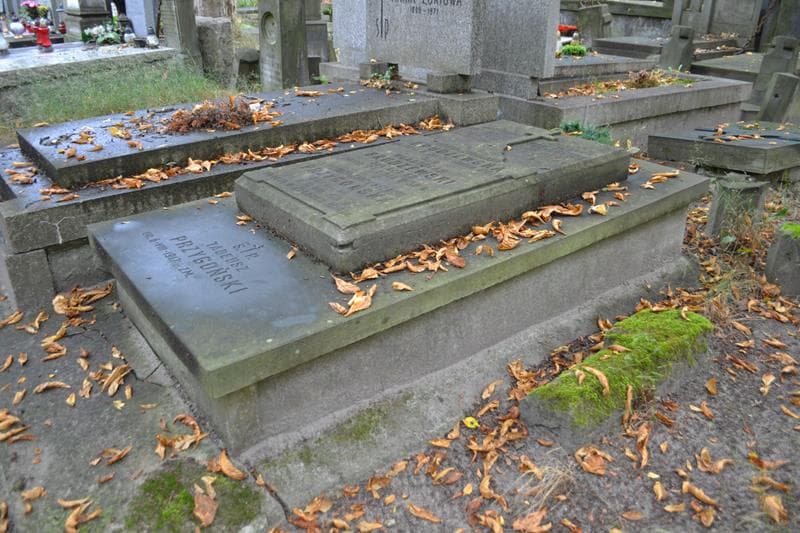 Zdjęcie grobu: Czesław Przygoński