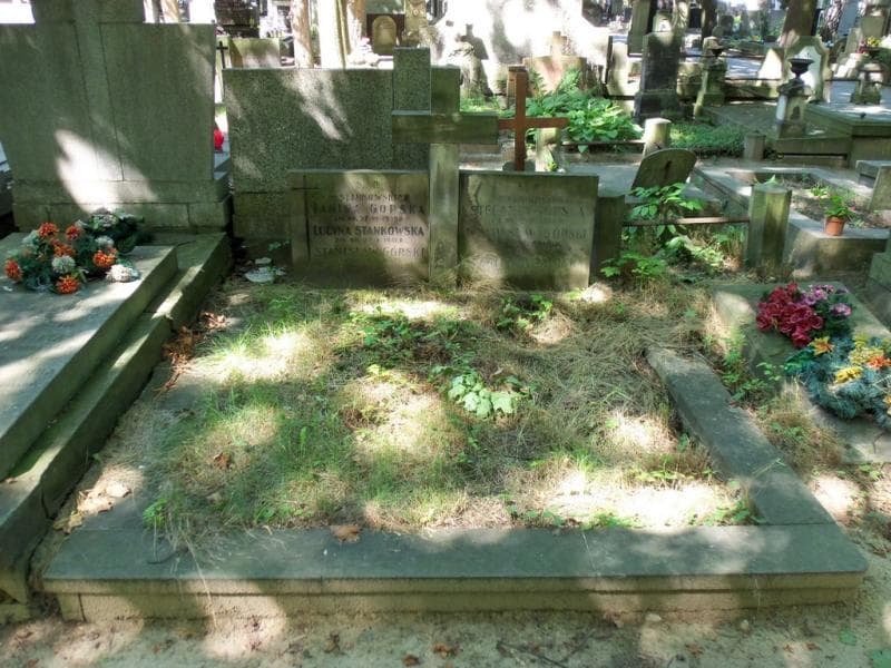 Zdjęcie grobu Władysław Górski (1)