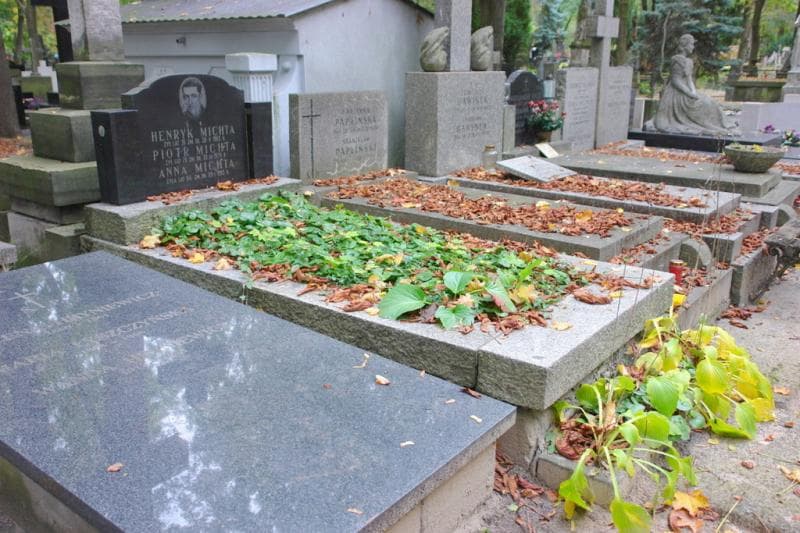 Zdjęcie grobu Anna Michta (1)