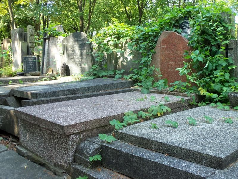 Zdjęcie grobu Jan Drabiński (1)