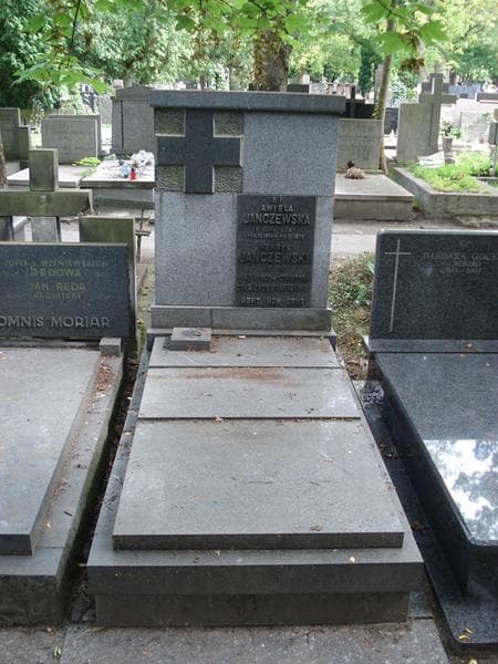 Zdjęcie grobu: Henryk Janczewski