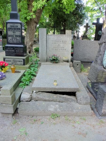 Zdjęcie grobu: Józef Tymowski