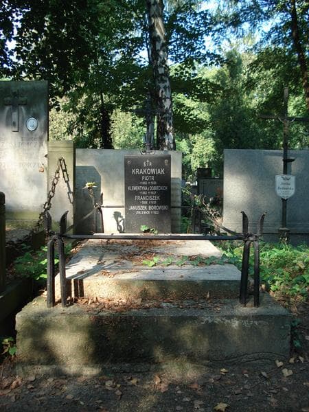 Zdjęcie grobu: Januszek Borowski