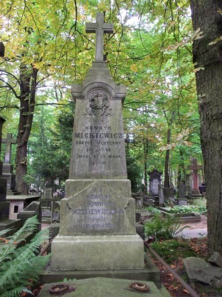 Zdjęcie grobu Henryk Mickiewicz (2)