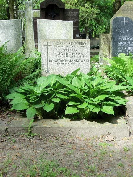 Zdjęcie grobu: Konstanty Jankowski