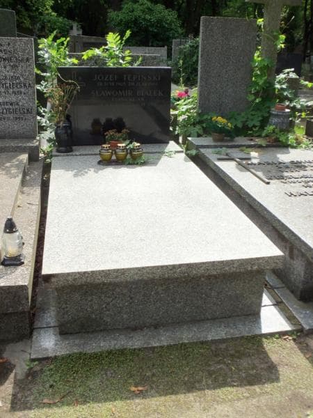 Zdjęcie grobu Józef Tepiński (1)