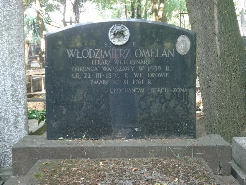 Zdjęcie grobu Włodzimierz Omelan (1)