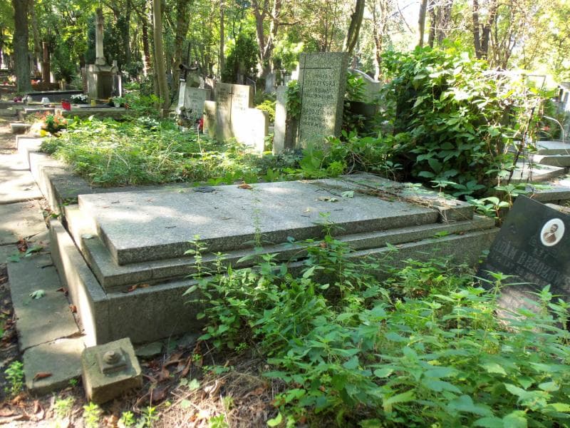 Zdjęcie grobu Kazimierz Darnikiewicz (1)