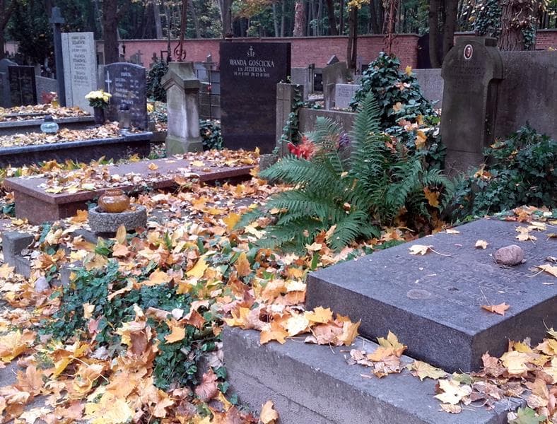 Zdjęcie grobu: Stanisław Wołyniec