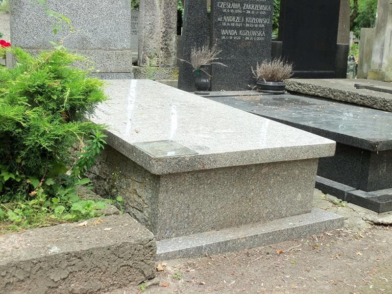 Zdjęcie grobu Antoni Rotuscy (1)