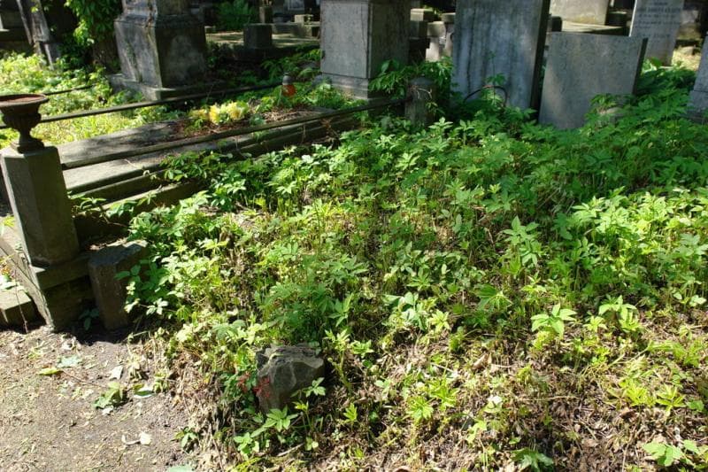 Zdjęcie grobu Julia Niewiadomska (1)