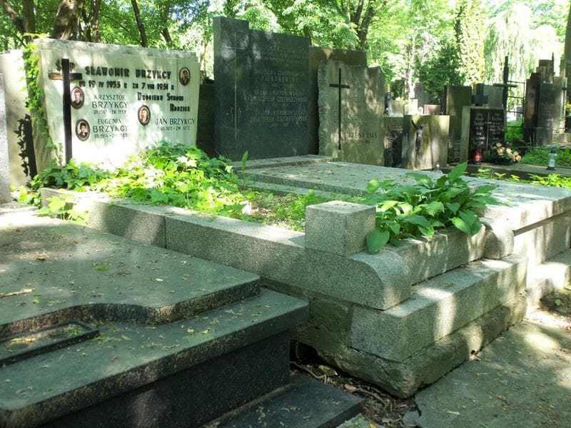 Zdjęcie grobu Jan Brzykcy (1)