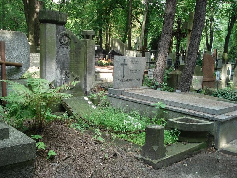 Zdjęcie grobu Ewa Chiczewska (1)