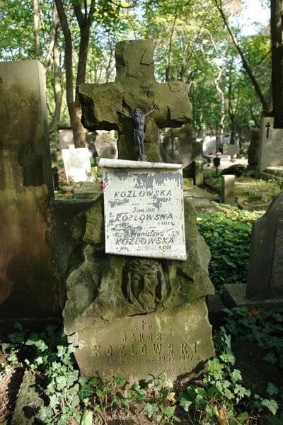 Zdjęcie grobu Janina Kozłowska (2)
