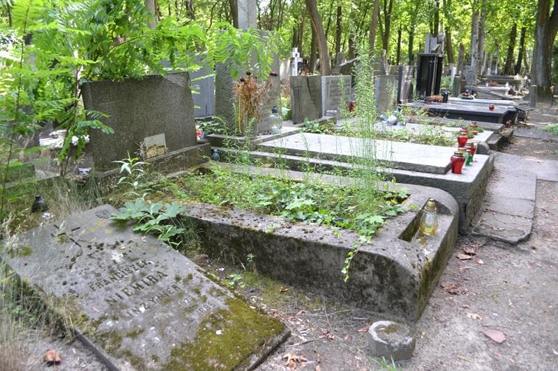 Zdjęcie grobu: Danuta Anna Oleszko