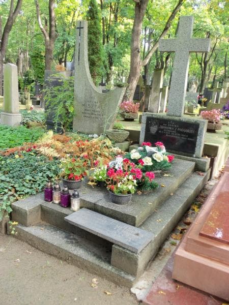 Zdjęcie grobu Wojciech Dobronoki (1)