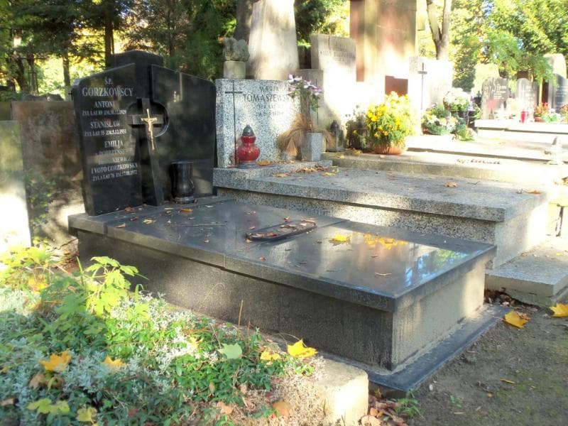 Zdjęcie grobu Antoni Gorzkowski (1)