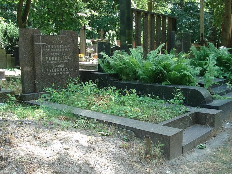 Zdjęcie grobu Jadwiga Jesionowska (1)
