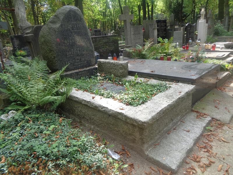 Zdjęcie grobu: Wiktor Drobyszew