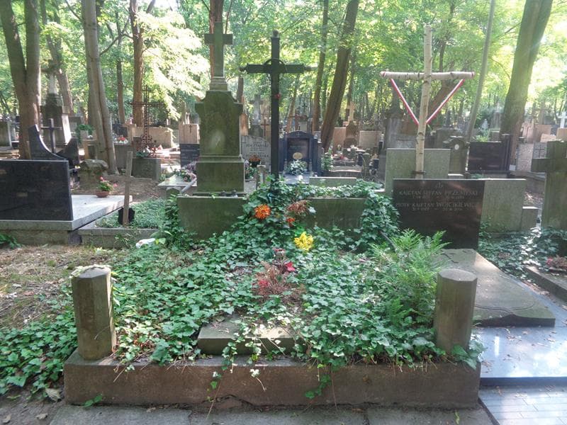 Zdjęcie grobu Franciszek Obrębski (1)