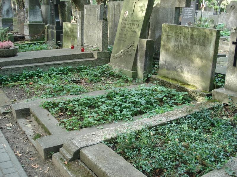 Zdjęcie grobu: Stefan Jeżewski