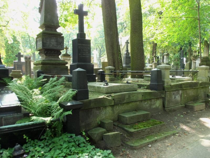 Zdjęcie grobu Charles Stanislas Styczyński (1)