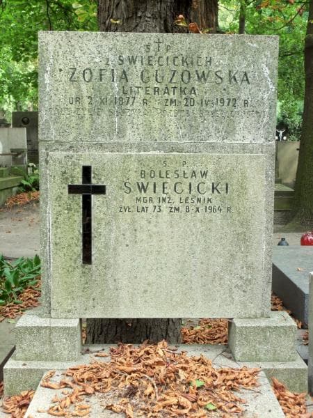 Zdjęcie grobu Zofia Guzowska (2)