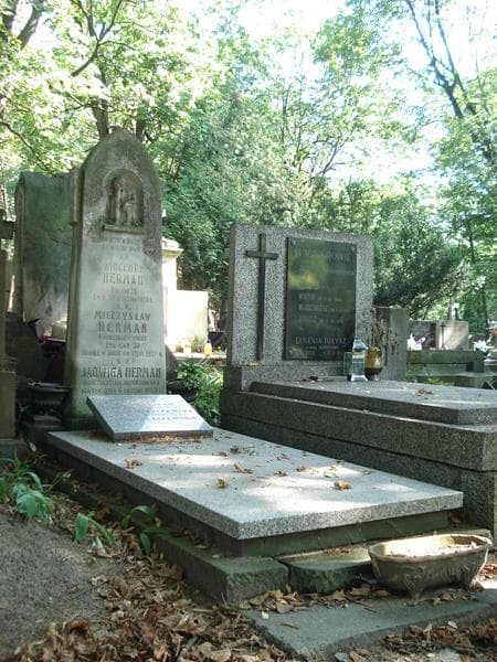Zdjęcie grobu Wincenty Herman (1)