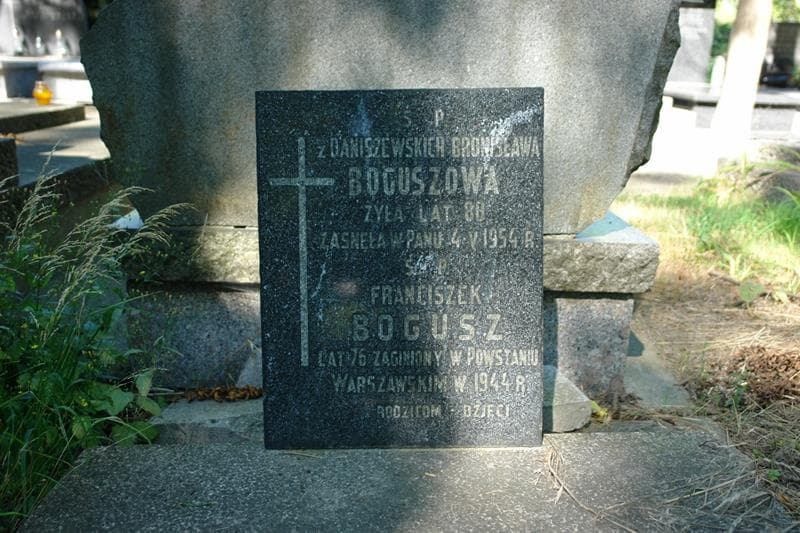 Zdjęcie grobu Bronisława Boguszowa (2)
