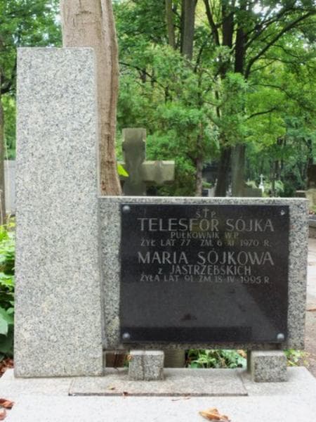 Zdjęcie grobu Telesfor Sójka (2)