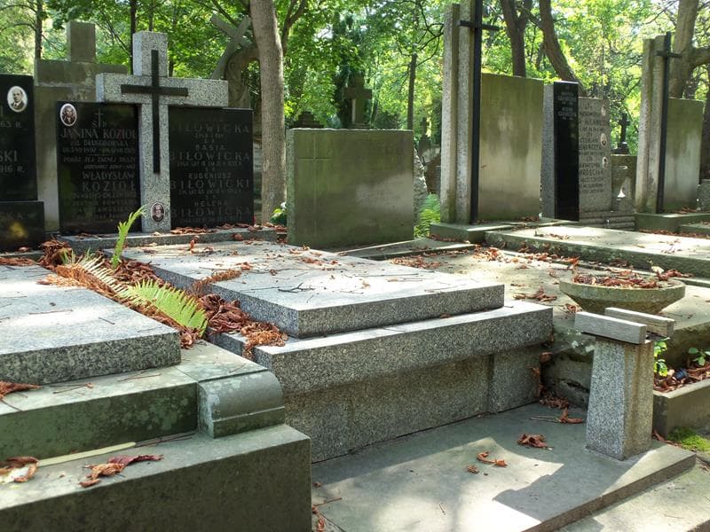 Zdjęcie grobu Janina Kozioł (1)