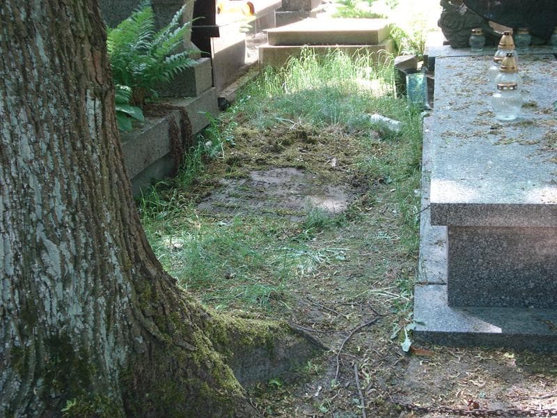 Zdjęcie grobu: Teofila Barańska