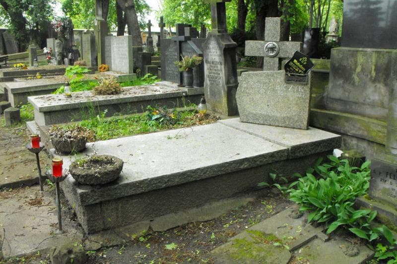 Zdjęcie grobu Władysława Biczyk (1)