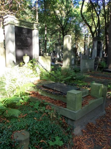 Zdjęcie grobu Leon Bernhardt (1)