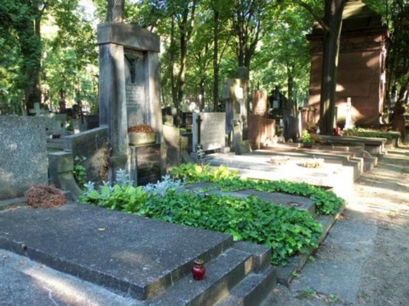 Zdjęcie grobu Stanisław Kurcyusz (1)