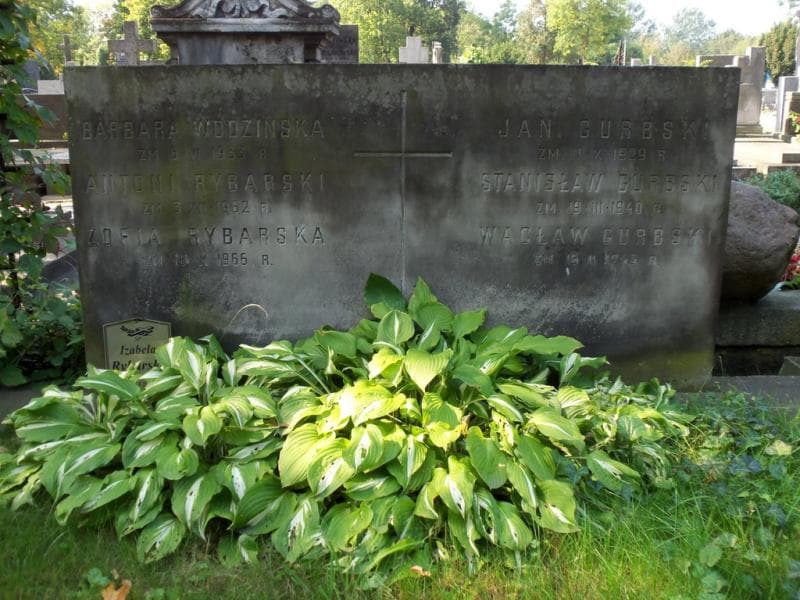 Zdjęcie grobu Antoni Rybarski (2)